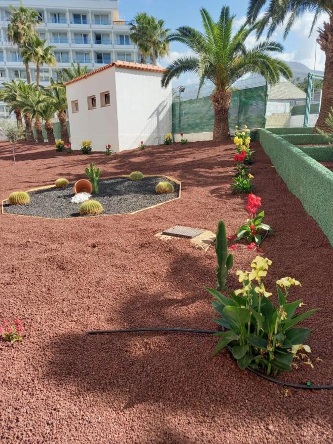 Apartamento Vacacional Playa Playa de las Américas Eksteriør billede